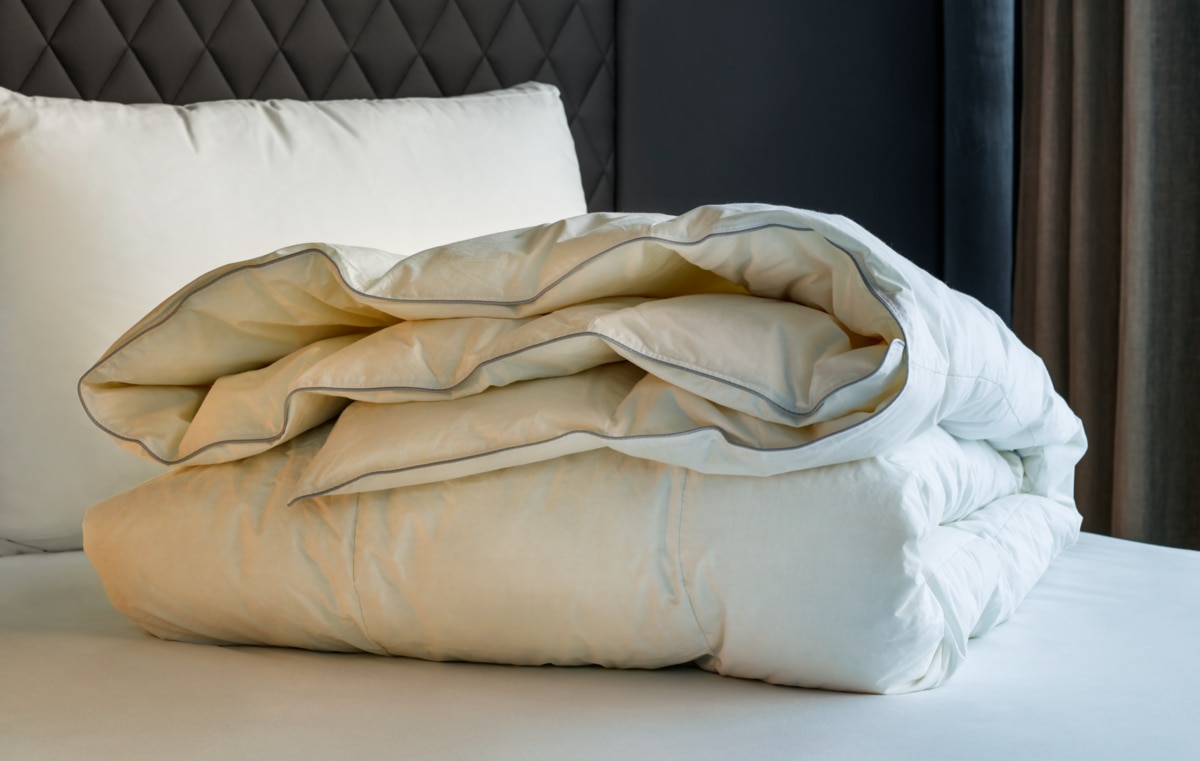 Which Dryer is Right for You?
