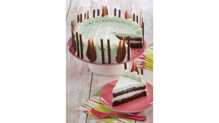 Chocolate-Mint-Cake_sfw.jpg