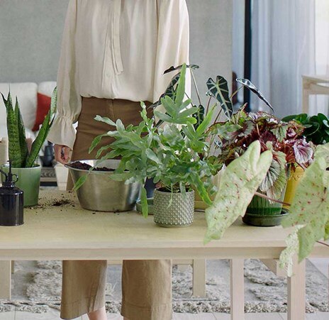 air purifier banner
